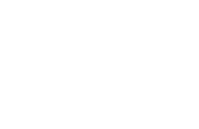 Food Lion