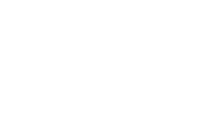 Super Indo