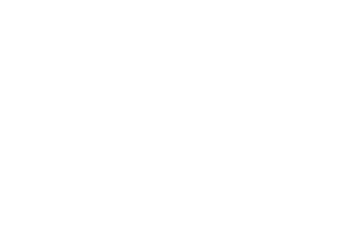 The GIANT Company